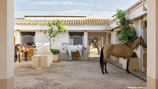 The Andalusian horseback retreat frequented by European royals